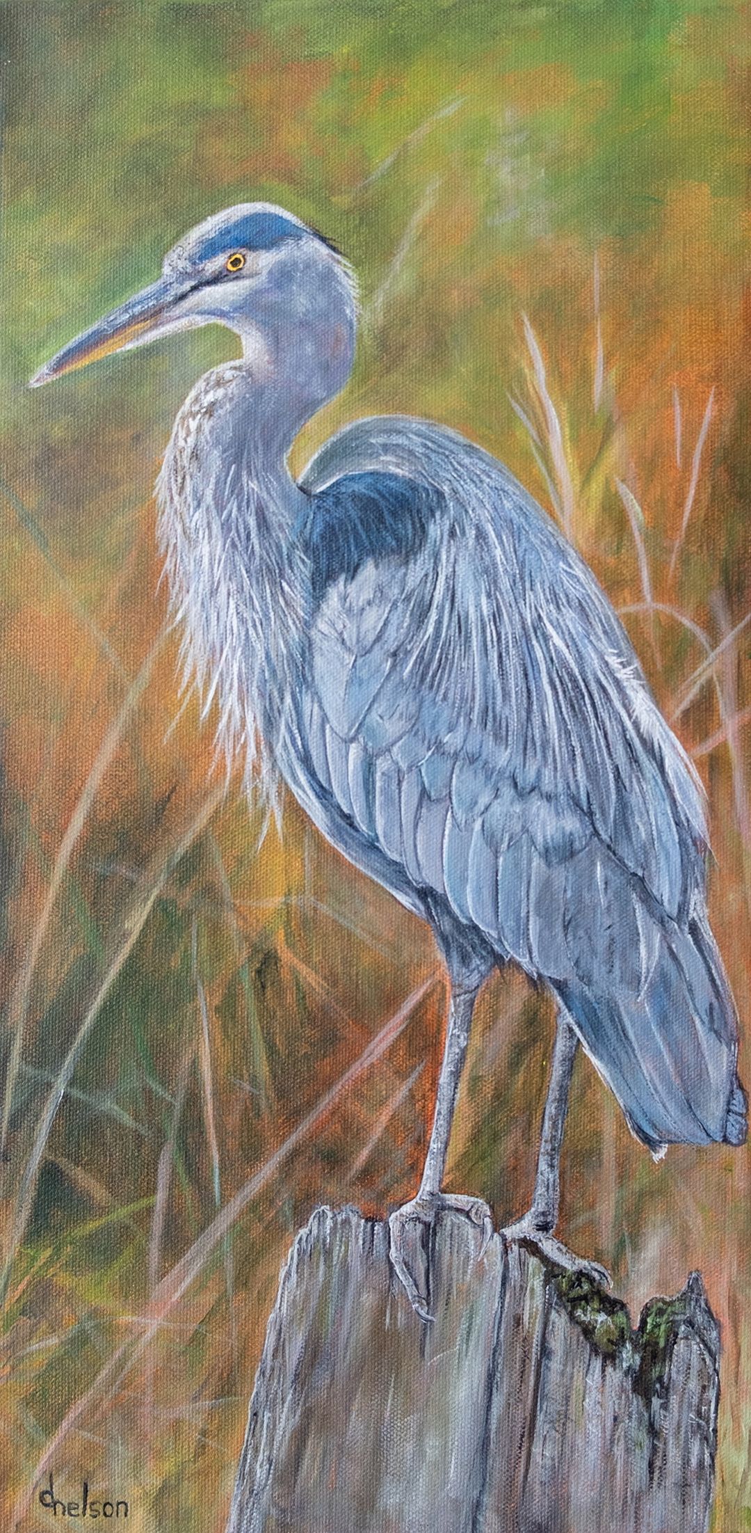 Blue Heron